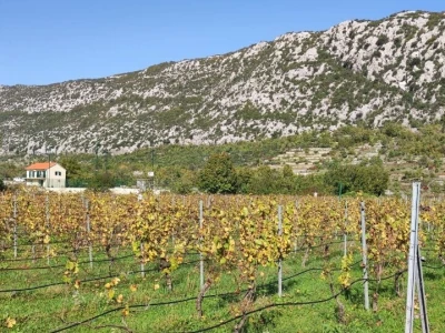 Nova vinarija