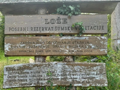 Obilazak spačvanskog bazena