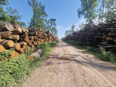 Obilazak spačvanskog bazena