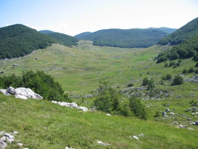 Obilje ispaše na Velebitu i tijekom ljeta