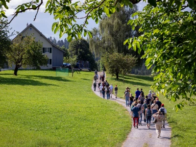 Obiteljska farma smeđih krava u Eichholzu