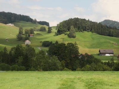 Obiteljska farma smeđih krava u Eichholzu