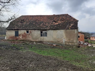 Obnova  Banovine