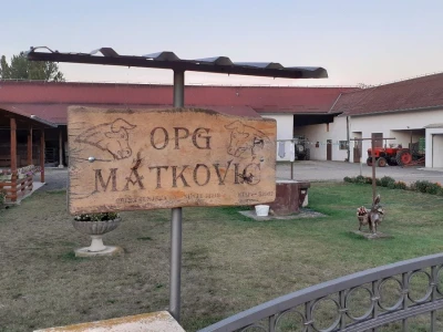 Obnova Banovine