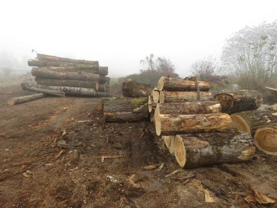 Obrt Fagus