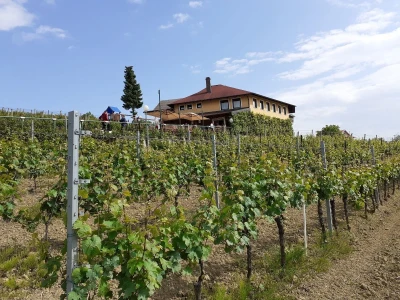 Odmor nikad bliže