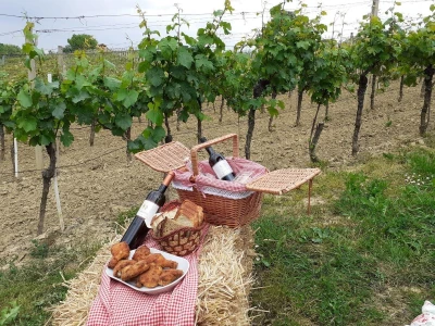 Odmor nikad bliže