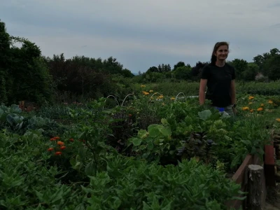 Održana uvodna konferencija projekta „Uspostava regionalnog centra kompetentnosti u poljoprivredi „Arboretum Opeka“