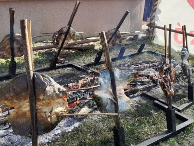 Okusi tradicije