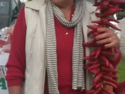 OPG Siniša Zetović