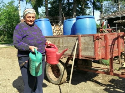 OPG Albina Kovačić