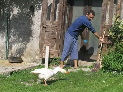 OPG Alen Polić