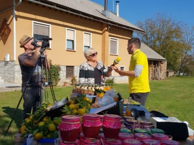 OPG Anđelić