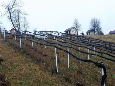 OPG ANDRAŠEVIĆ