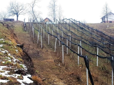 OPG ANDRAŠEVIĆ