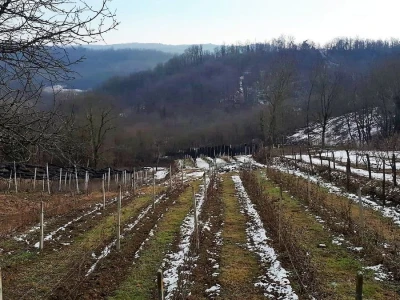 OPG ANDRAŠEVIĆ