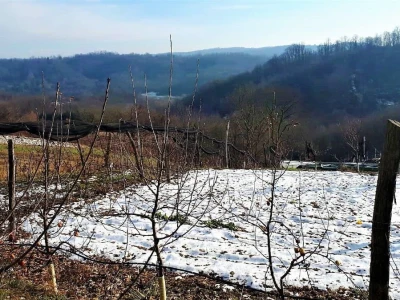 OPG ANDRAŠEVIĆ