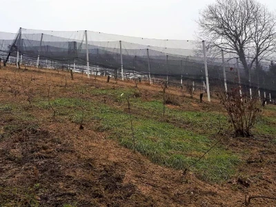 OPG ANDRAŠEVIĆ