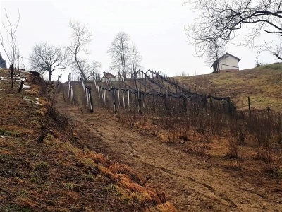OPG ANDRAŠEVIĆ