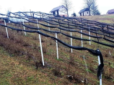 OPG ANDRAŠEVIĆ