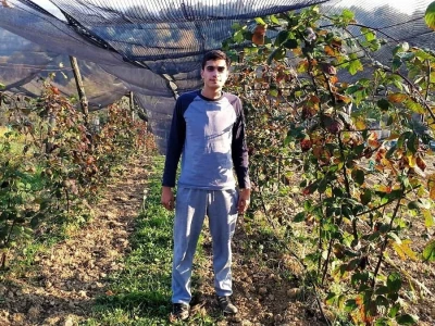 OPG ANDRAŠEVIĆ