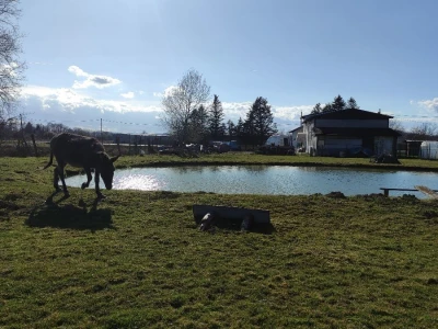 OPG Ankica Kokurić
