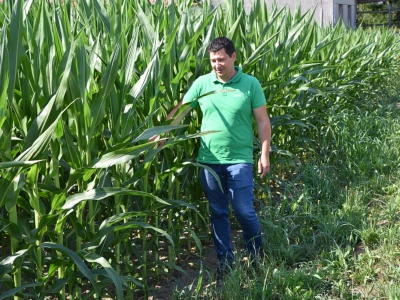 OPG Baranašić