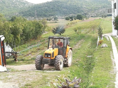 OPG Bože Delića iz Muća