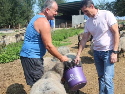 OPG Čikvara