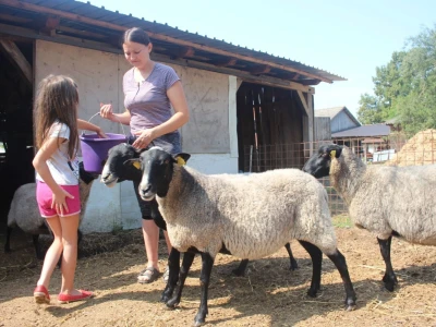 OPG Čikvara