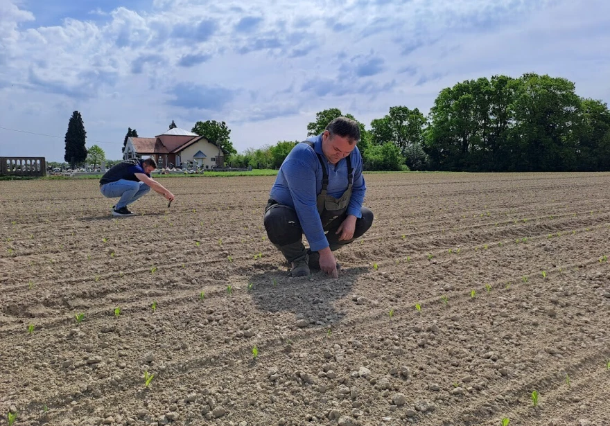 opg &scaron;isl timac agro