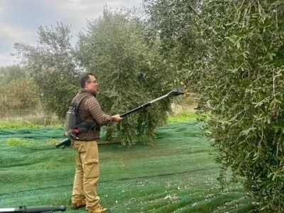 OPG Damir Vanđelić