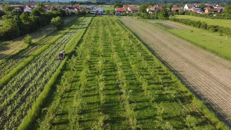&scaron;ipak