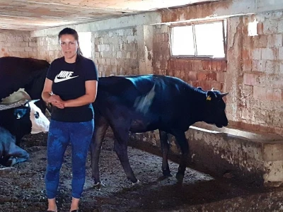 OPG Dimitrije Matić