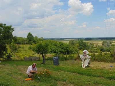 OPG Dubravka Vidmar