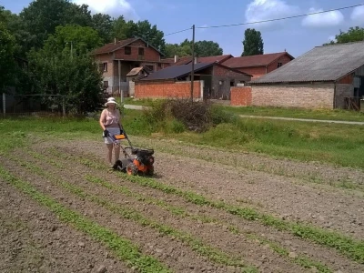 OPG Eva Đurić