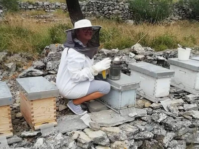 OPG Franko Mateljan