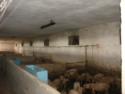 Stara farma