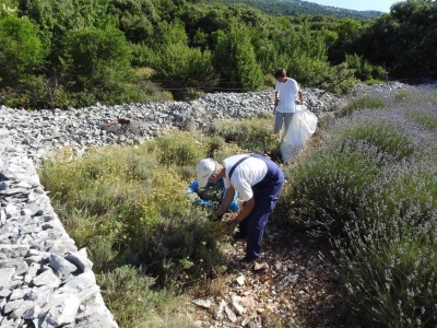 OPG Grgo Lučić