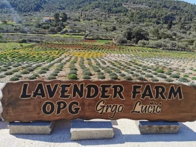 OPG GRGO LUČIĆ