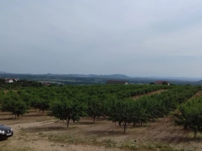 OPG IVA BULIĆ