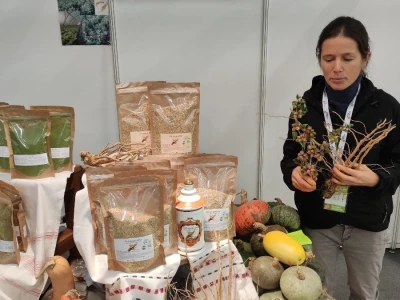 OPG Ivana Košćak, ashwagandha
