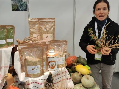 OPG Ivana Košćak, ashwagandha