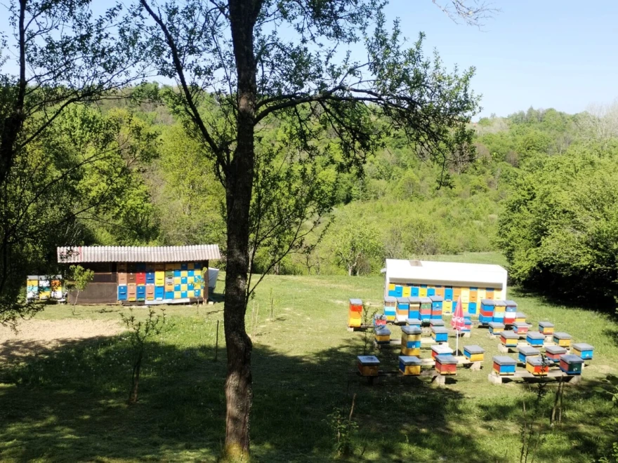 slika kompes