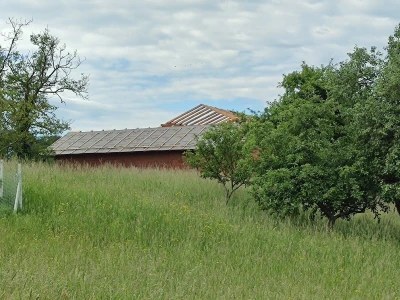 OPG Jagušt