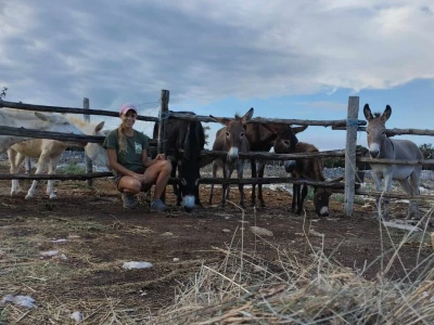 Farme na otoku Rabu koje posebno vole posjećivati djeca