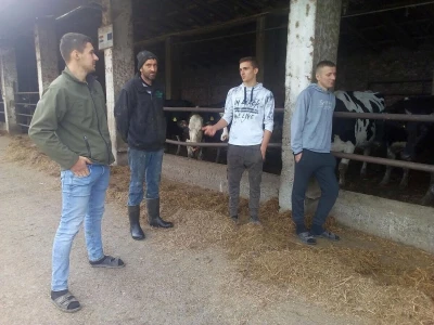 OPG Karavidović
