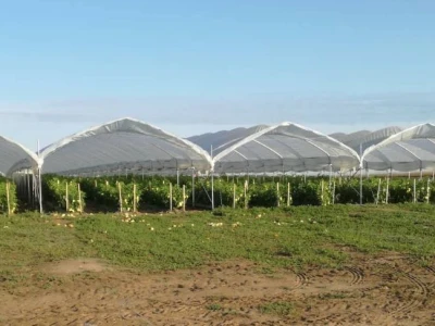 OPG Komar