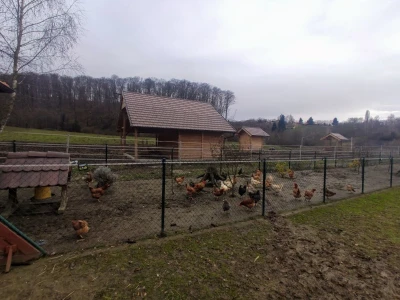 OPG KREŠO BUKVIĆ