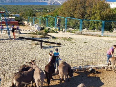OPG Lucić - magareće mlijeko